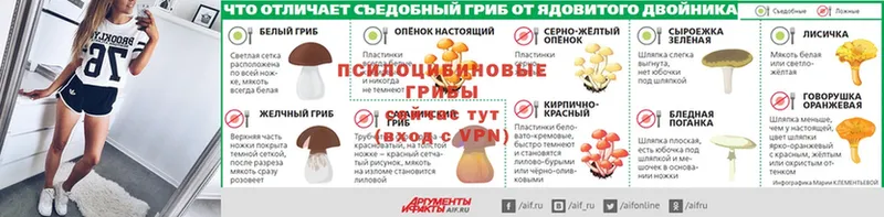 Галлюциногенные грибы мицелий Чишмы